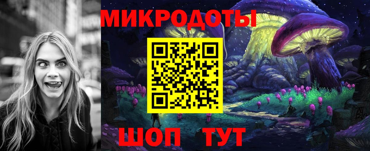 Псилоцибиновые грибы мицелий Старая Купавна